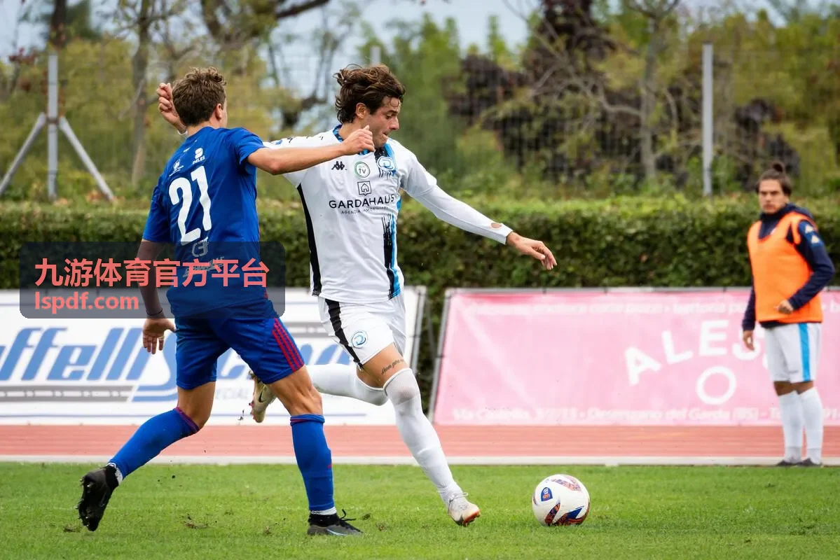 多项目综合资讯内容封面
